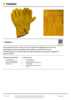 pdf_preview